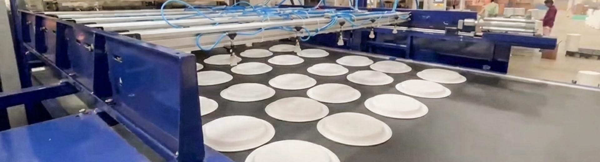 Molded Fiber Packaging